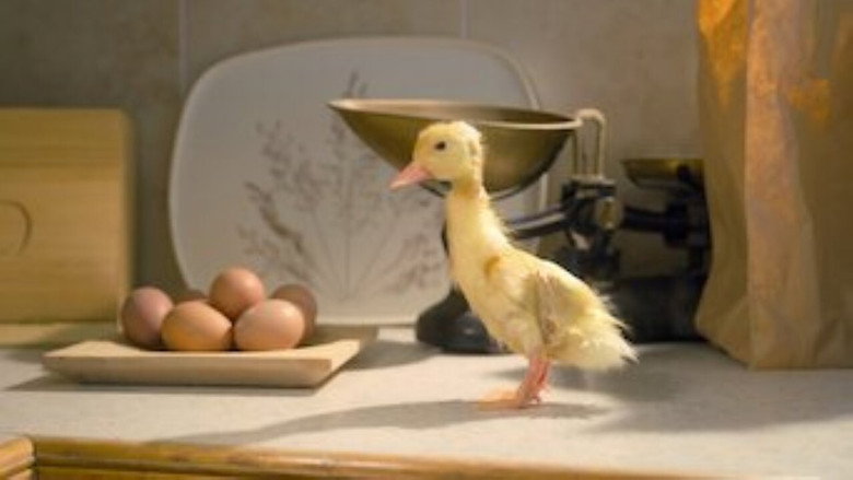 Tiny Creatures – Season 1 - Episode 7 – Washington