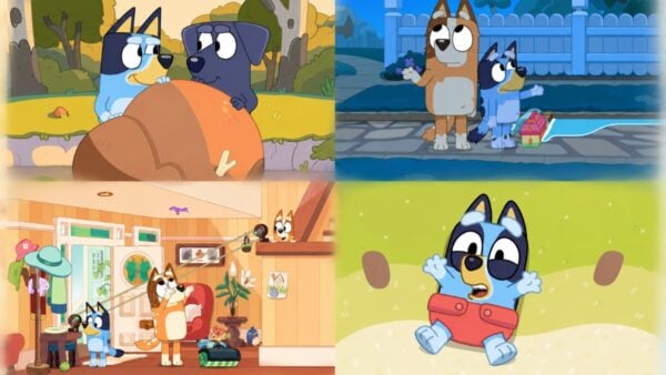 Bluey Episodes Ranked By A Family Therapist
