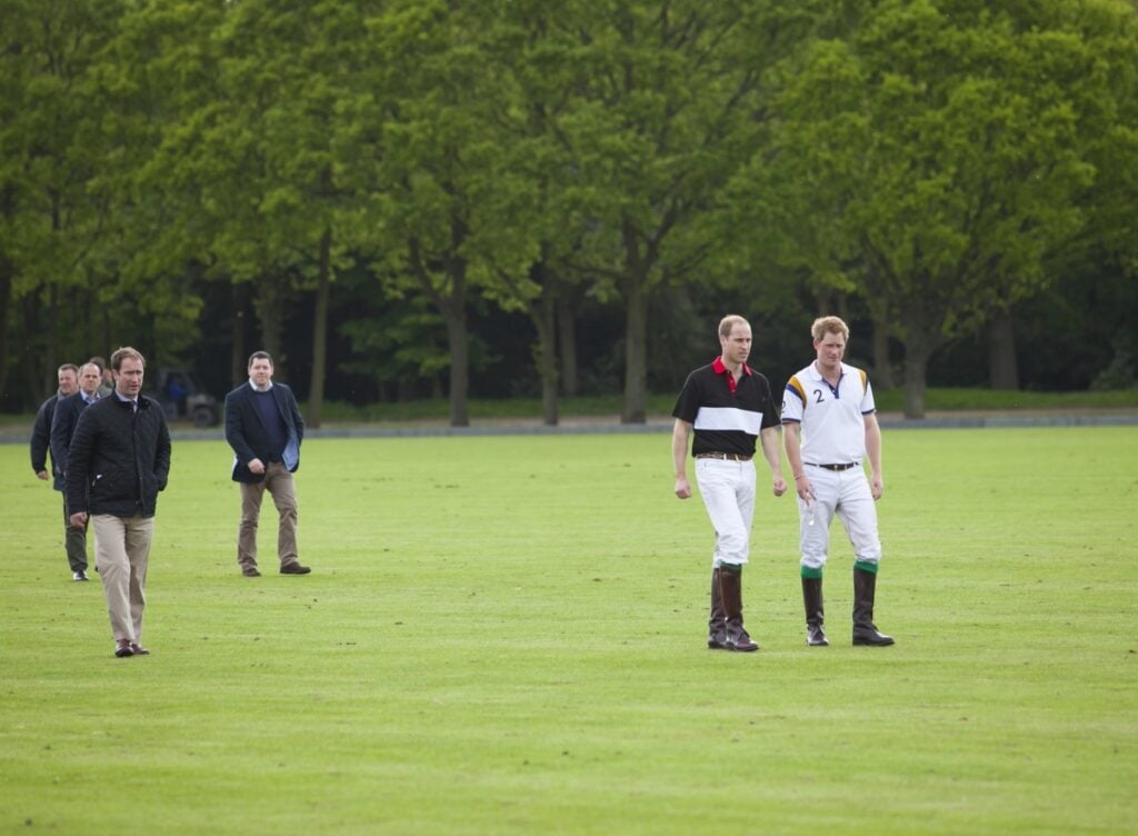 Prince William and brother Harry