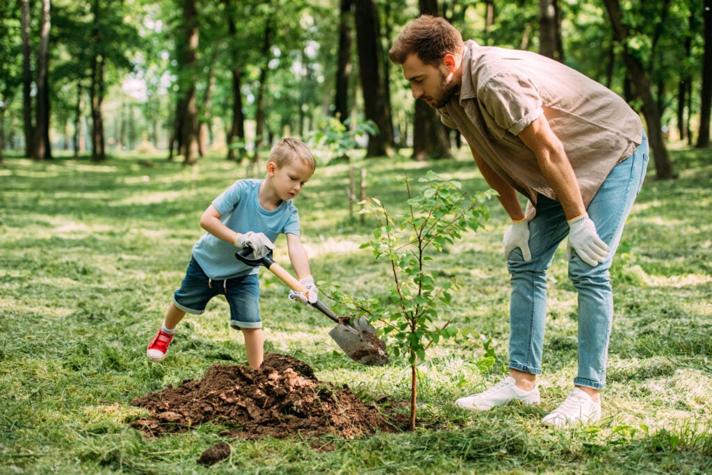 father letting child plant a tree