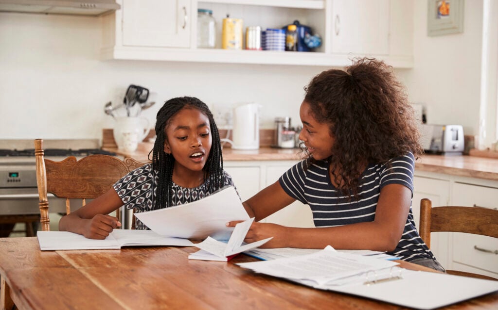 Two Sisters Doing Homework