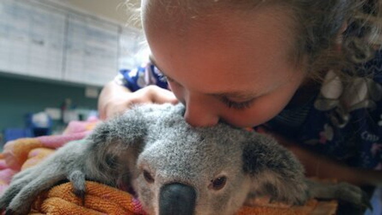 Izzy's Koala World – Season 1 - Episode 4 – Muffin Moves In