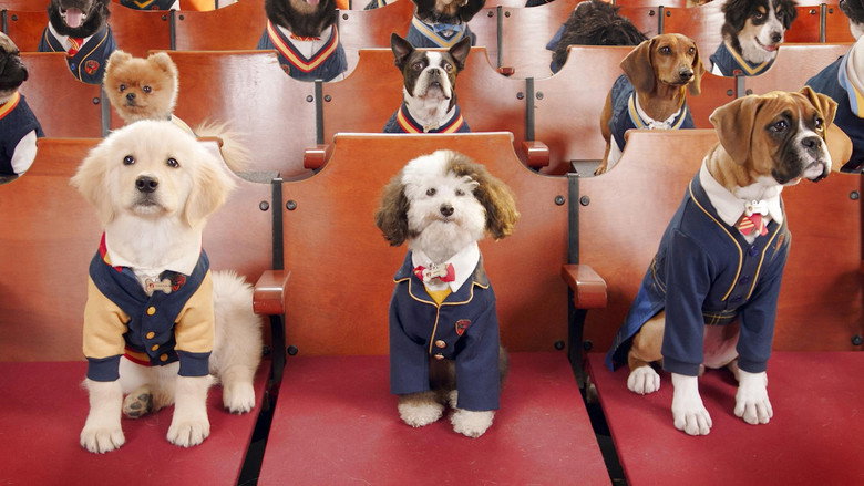 Pup Academy – Season 1 - Episode 1 – The Stray’s First Day