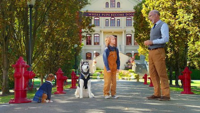 Pup Academy – Season 1 - Episode 12 – The Thing with King