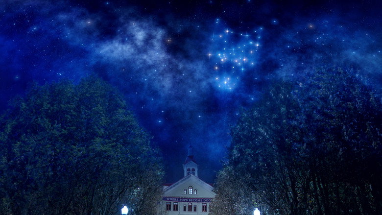 Pup Academy – Season 1 - Episode 13 – The Constellation Fades
