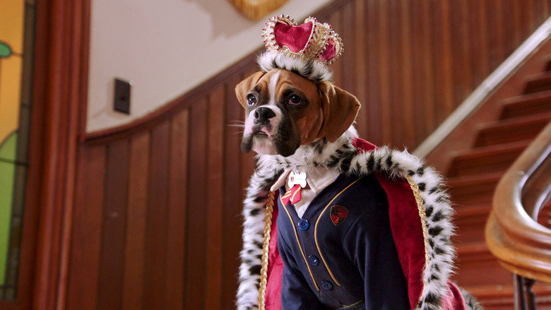 Pup Academy – Season 1 - Episode 15 – The Day of the Stray