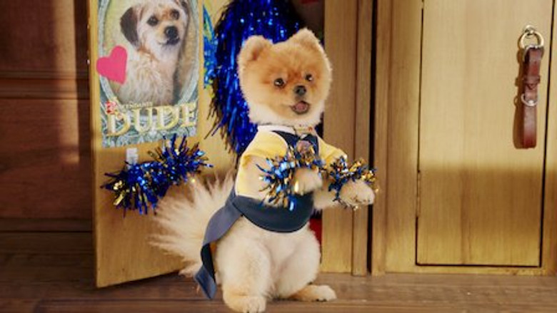 Pup Academy – Season 1 - Episode 4 – My Uncle Is Dude