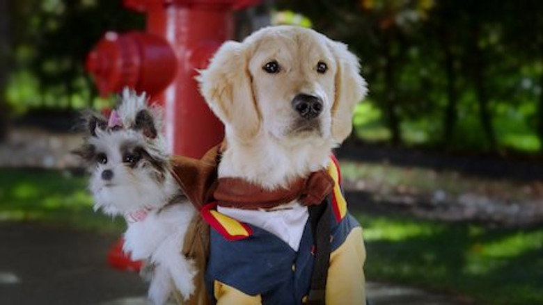 Pup Academy – Season 1 - Episode 5 – Oopsie!