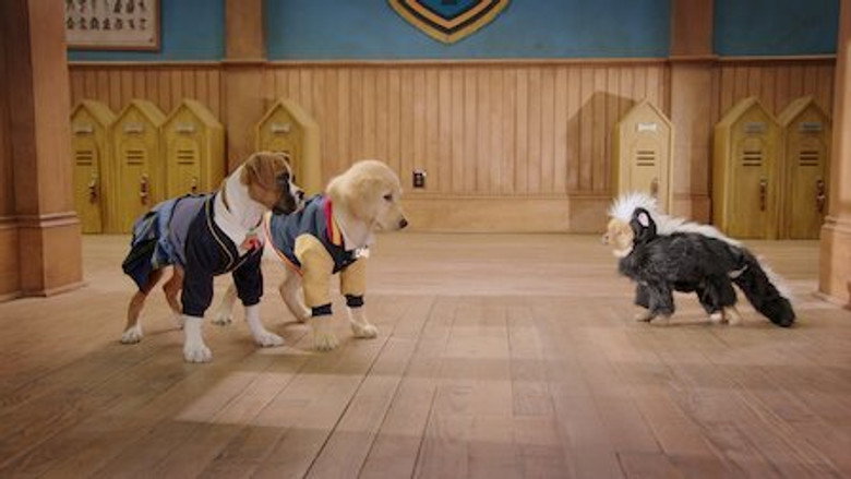 Pup Academy – Season 2 - Episode 4 – Skunked!