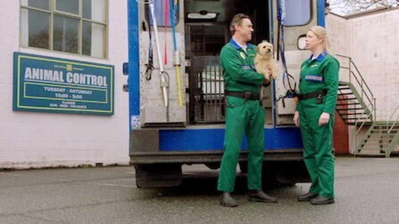 Pup Academy – Season 2 - Episode 5 – The King Sting