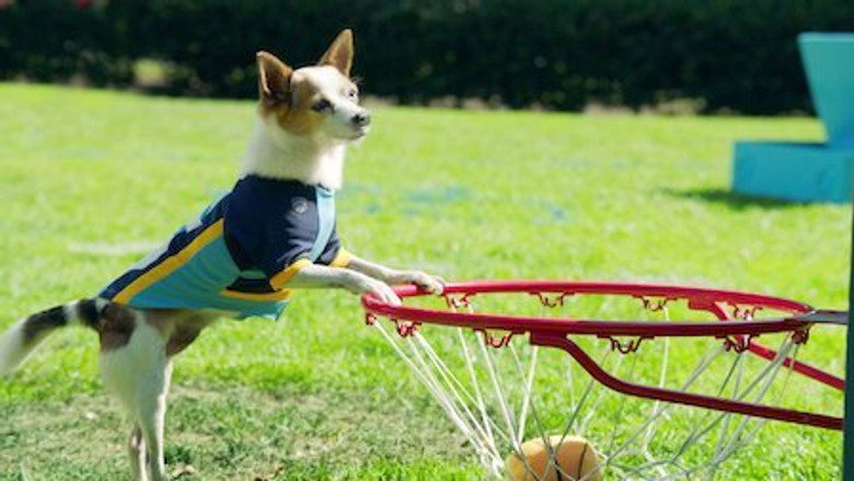 Pup Academy – Season 2 - Episode 6 – Most Valuable Pup
