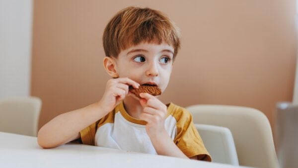 Should Kids Snack All Day? The Pros, Cons, and What Parents Need to Know