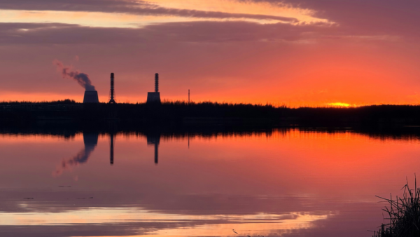 How Climate Change Is Reshaping Parenthood Plans