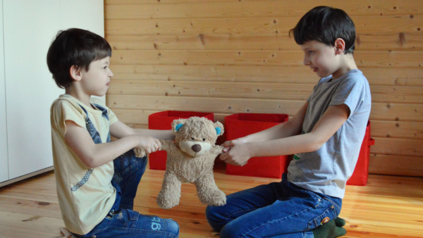 How Parents Should Handle Sibling Fighting: What to Say and When to Step In