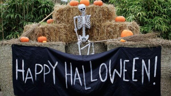 Aldi’s New Halloween Finds Include Budget-Friendly Toys, Treats and Activities for Kids